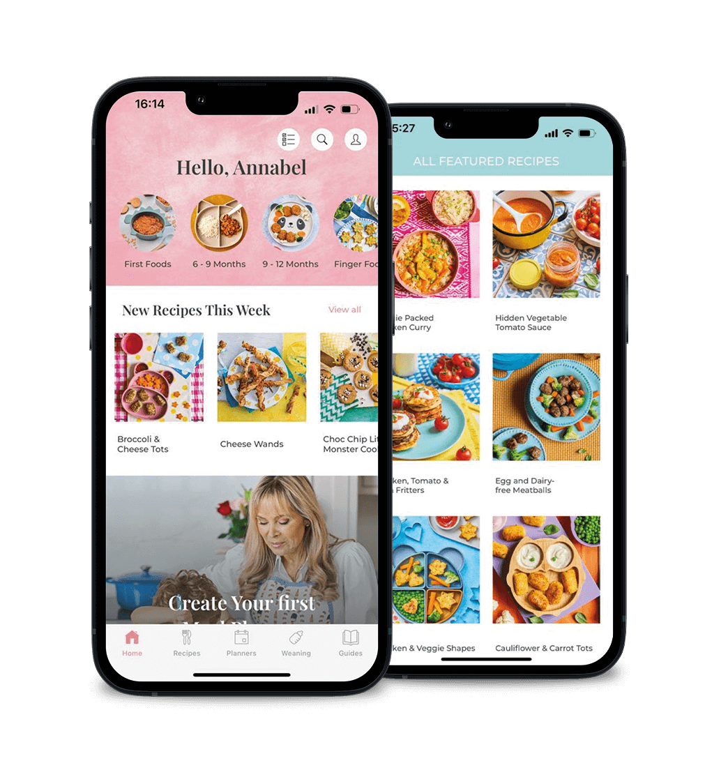 Preview of Baby & Toddler Recipe App on a smartphone, highlighting nutritious baby led weaning recipes.