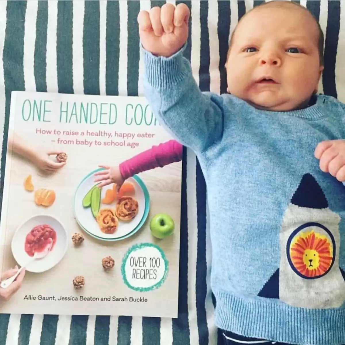 One Handed Cooks Cookbook