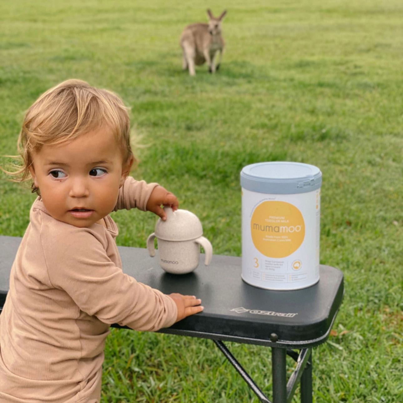 Baby outdoors with sip cup and Mumamoo Formula Stage 3 Premium Toddler Milk Drink tin on the table.
