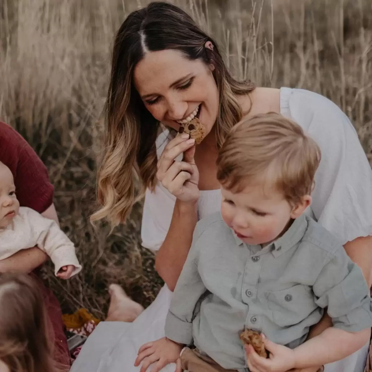 Ollie Tots Dark Chocolate Chip Breastfeeding Lactation Biscuit Mix