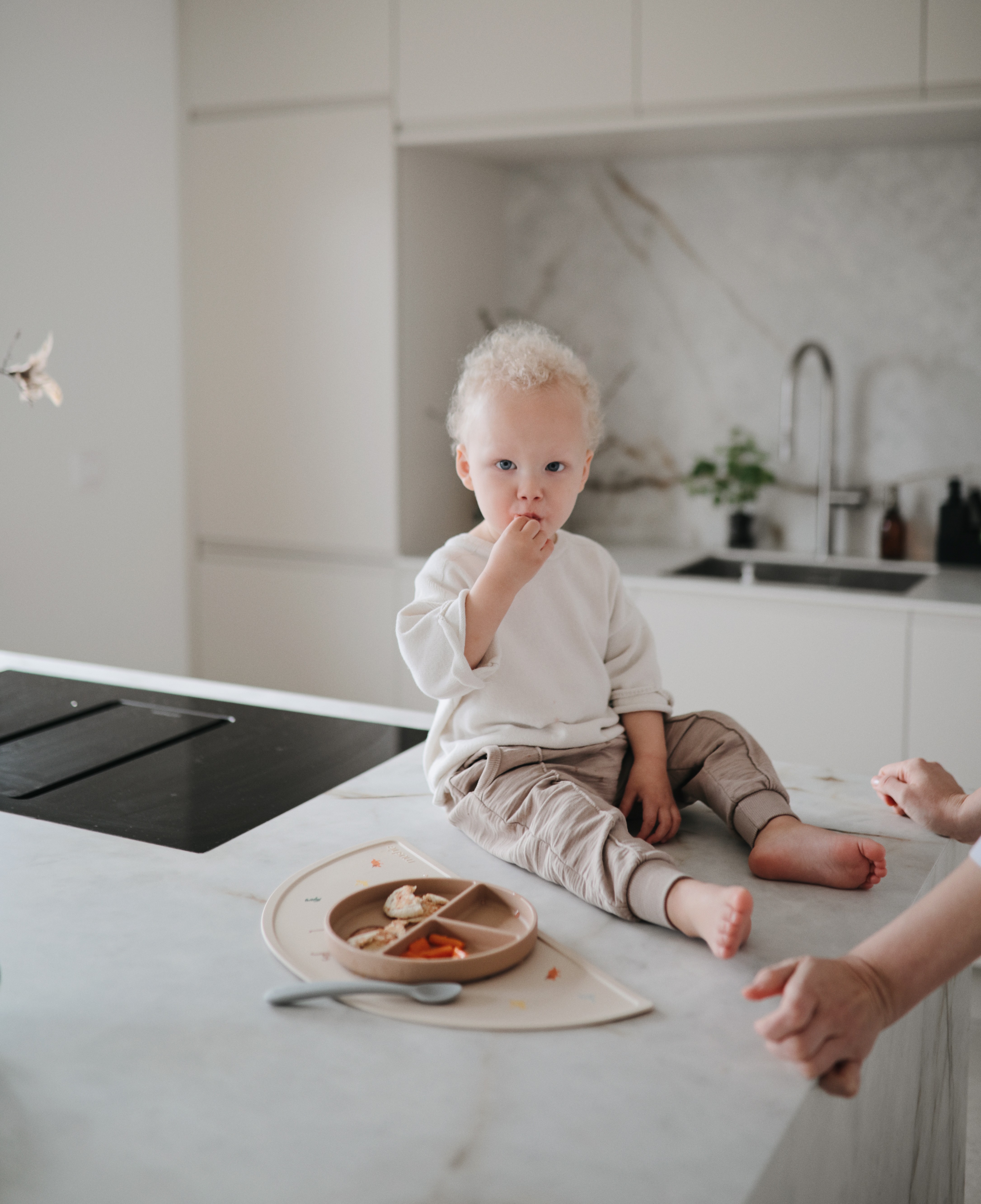 Baby enjoying their first meal in Mushie Silicone Dining Set, the Best Feeding Essential for starting solids.