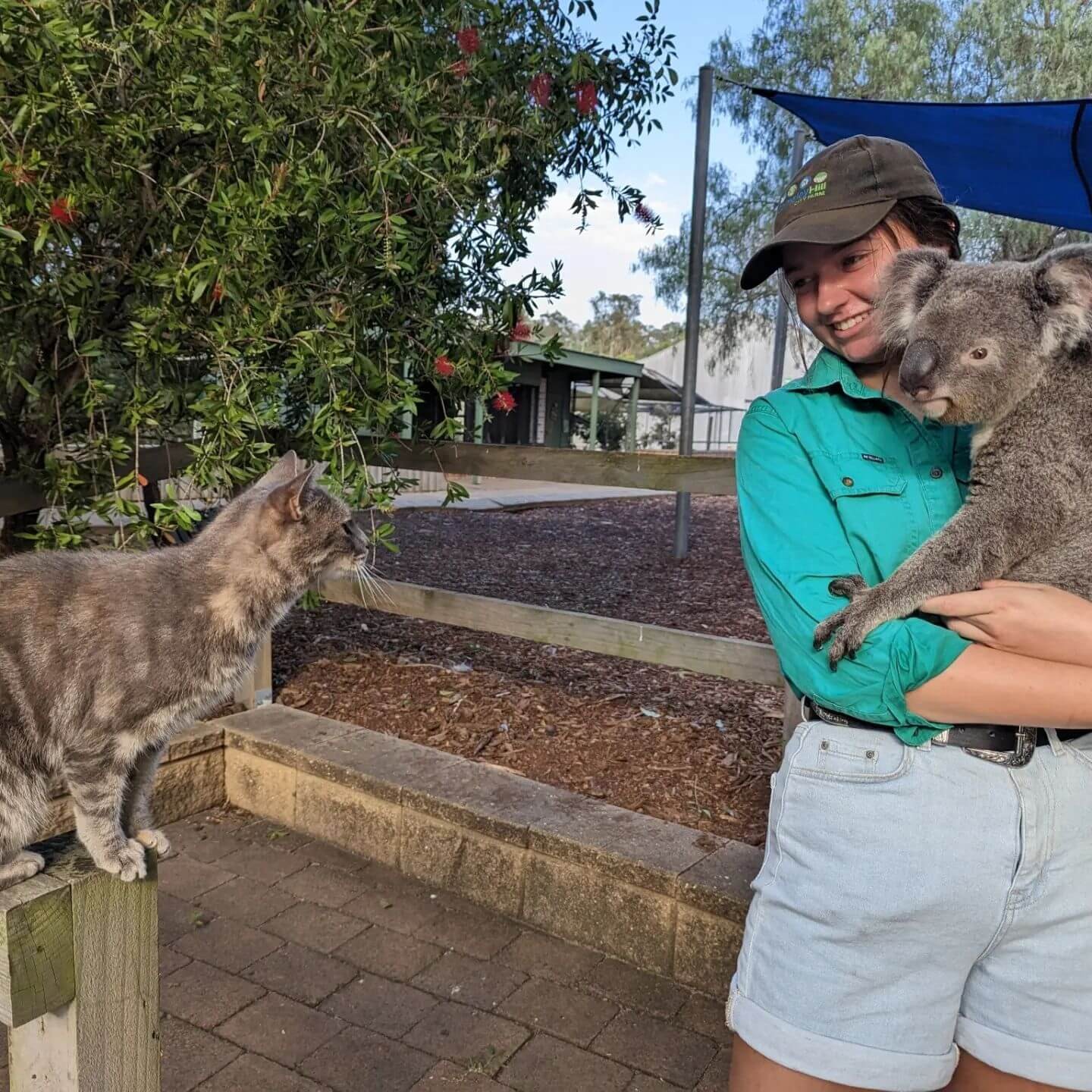 Lady holding a koala as part of the best kids party ideas