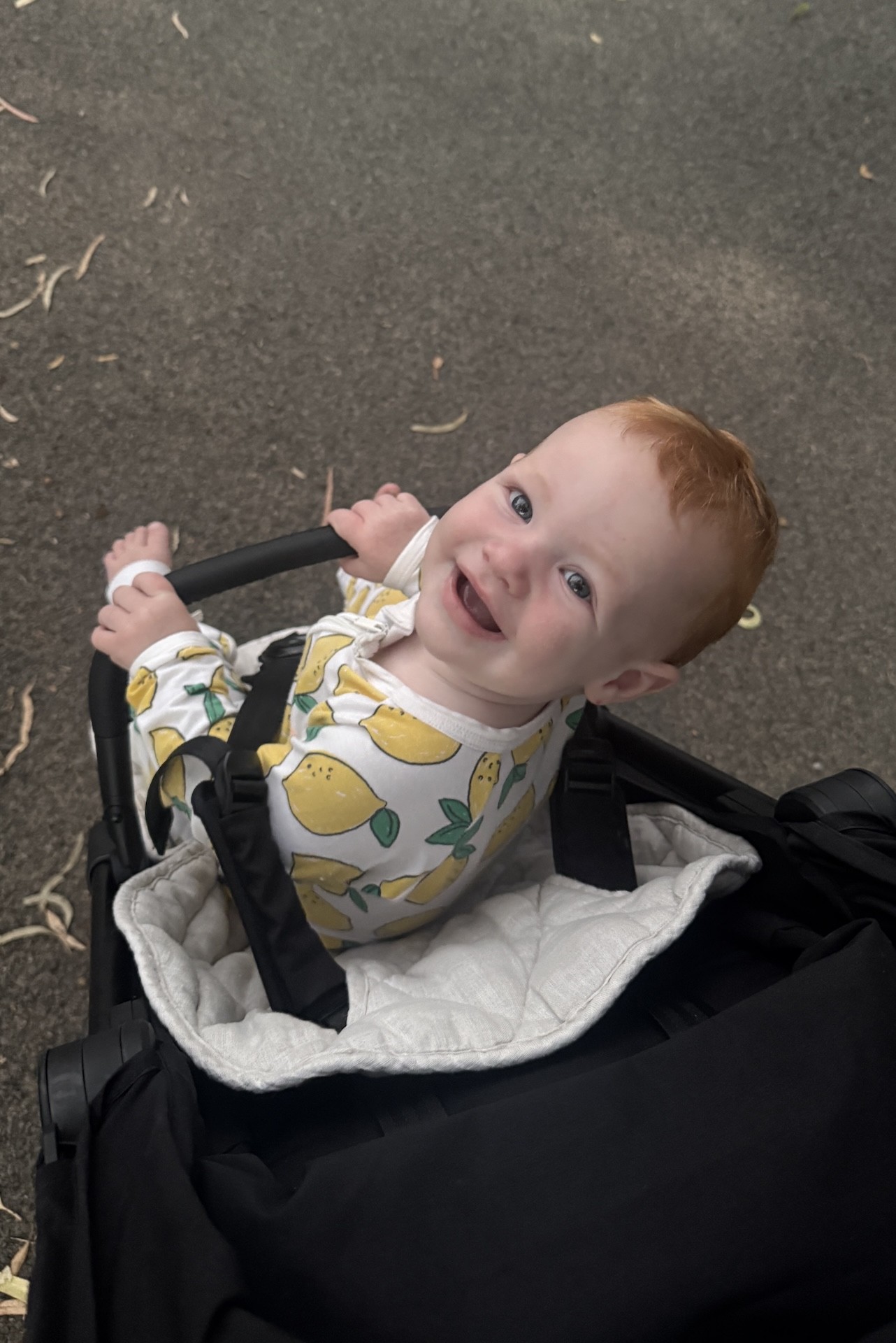 two prams