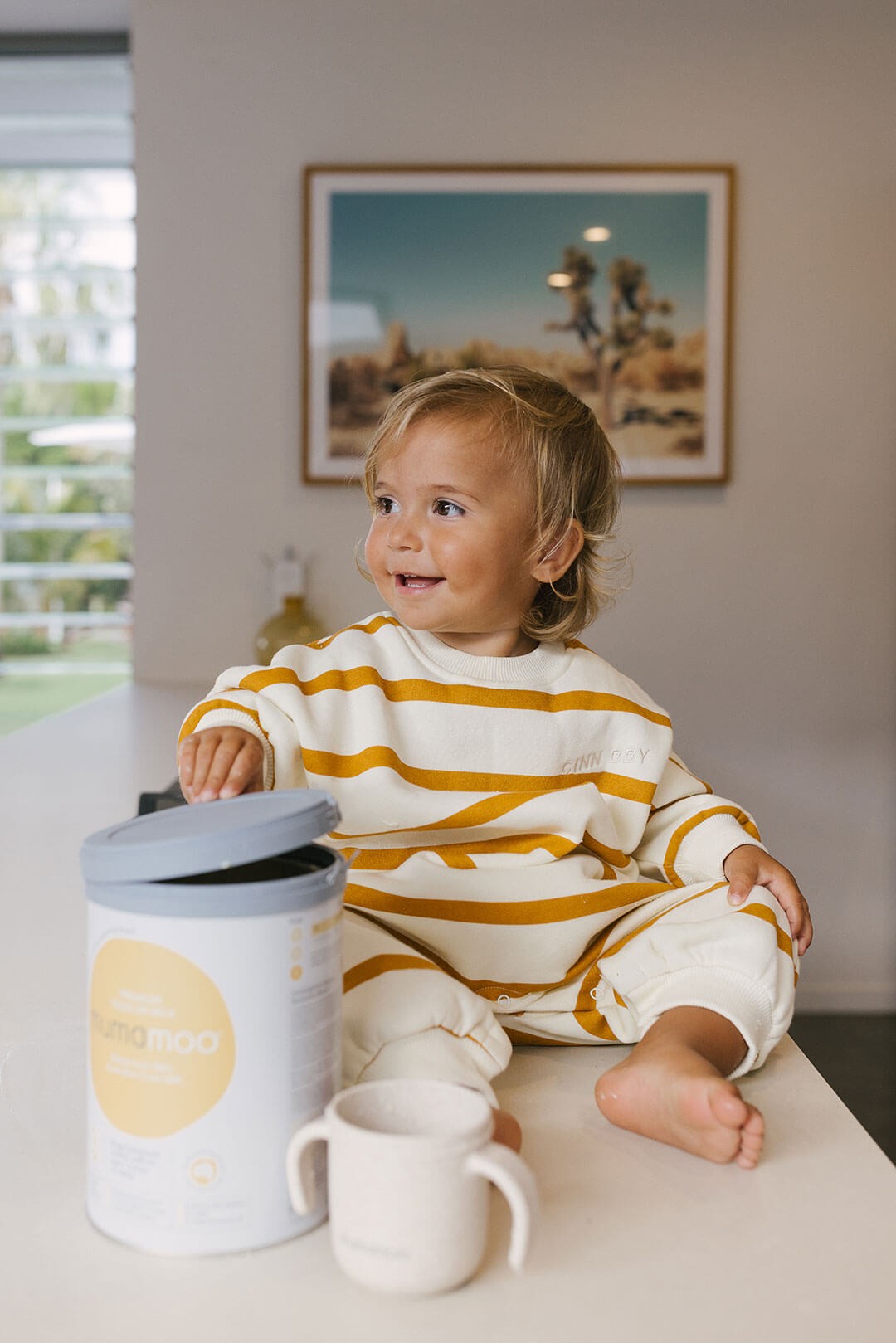 a toddler seated on a kitchen island reaching for a mumamoo formula bottle beside him - supplementary toddler milk powder