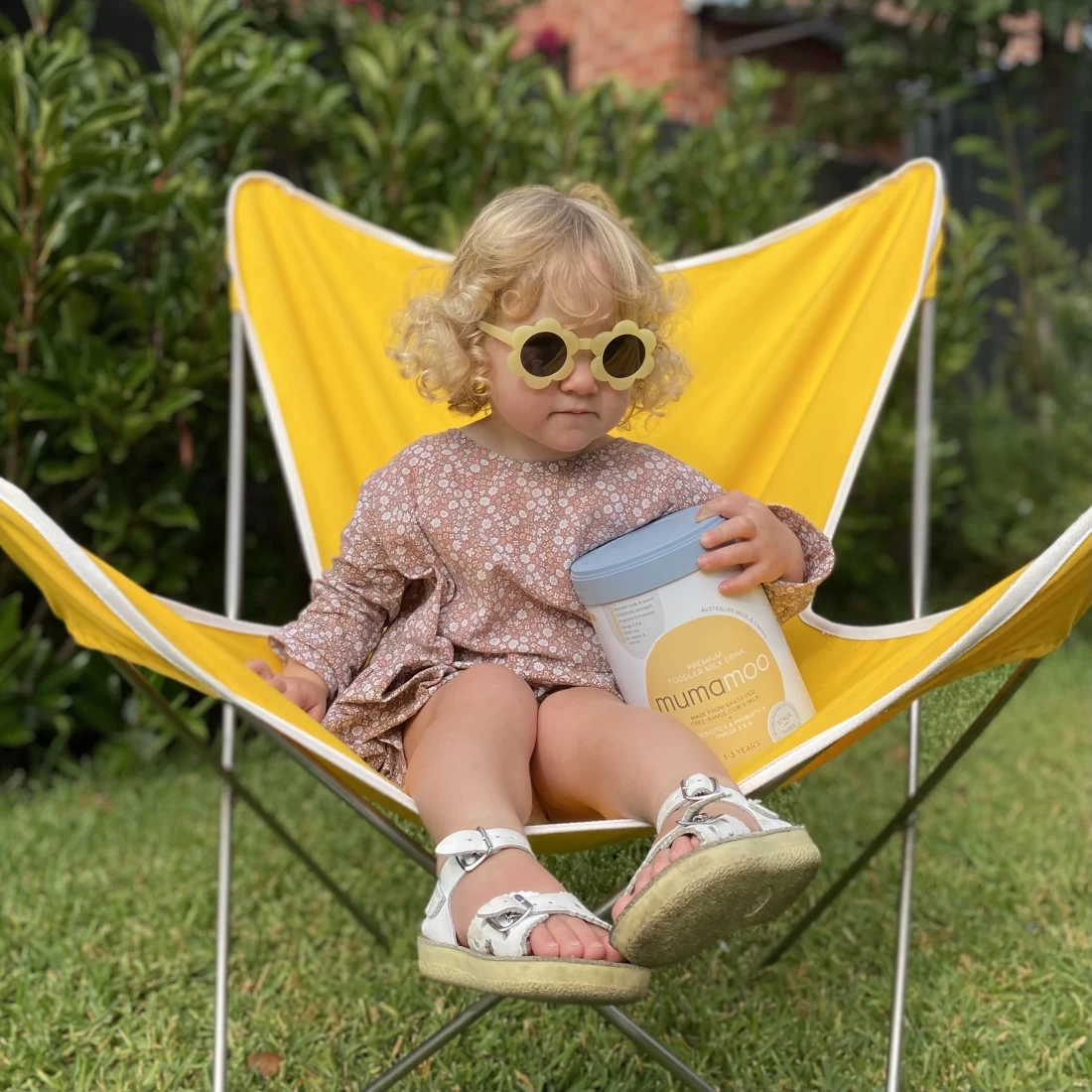 Toddler sitting on a chair holding Mumamoo Australian Made & Owned Premium Infant Formula and Toddler Milk with a proud smile.