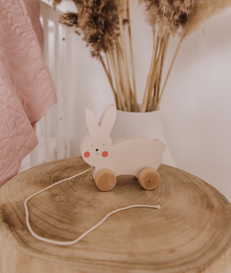 the bubble pull along toy, a great stocking filler
